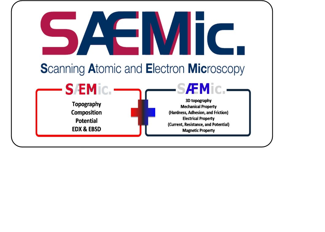 SAEMic - SEM 與 AFM 之聯用